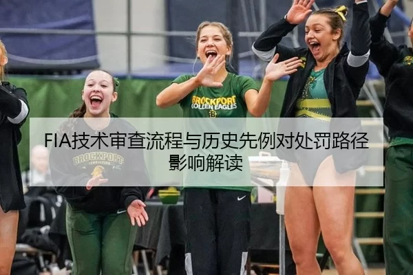 FIA技术审查流程与历史先例对处罚路径影响解读
