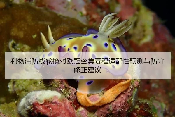 利物浦防线轮换对欧冠密集赛程适配性预测与防守修正建议